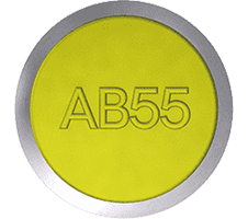 AB 55